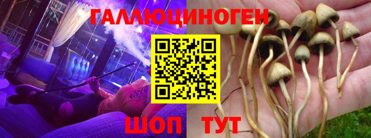 Псилоцибиновые грибы Psilocybine cubensis  Вход с VPN  Южно-Сахалинск  Галлюциногенные грибы прущие грибы 